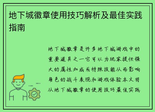 地下城徽章使用技巧解析及最佳实践指南